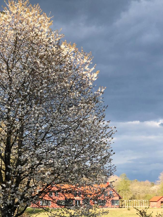 Villa Hasselbacken Gärsnäs 외부 사진