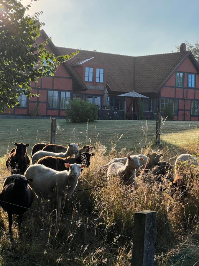 Villa Hasselbacken Gärsnäs 외부 사진